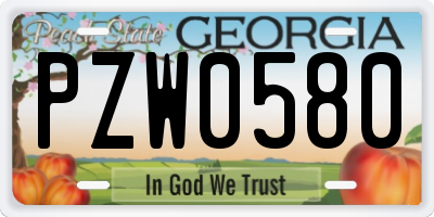 GA license plate PZW0580