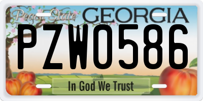GA license plate PZW0586