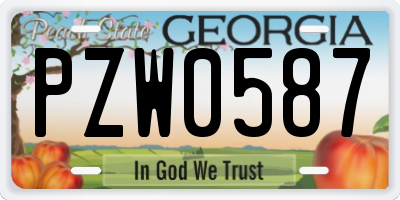 GA license plate PZW0587