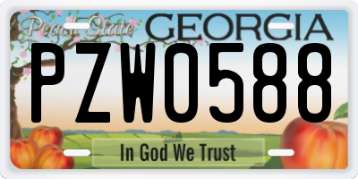 GA license plate PZW0588