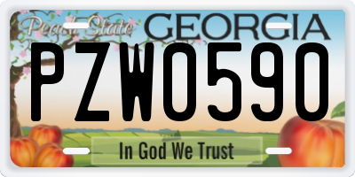 GA license plate PZW0590