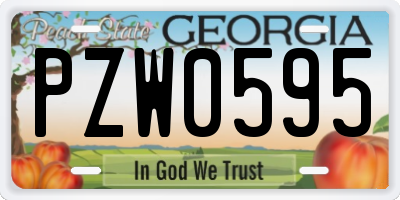 GA license plate PZW0595