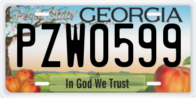 GA license plate PZW0599