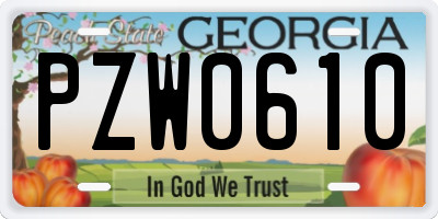 GA license plate PZW0610