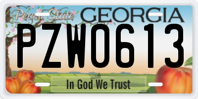 GA license plate PZW0613