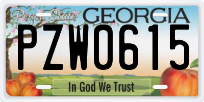 GA license plate PZW0615