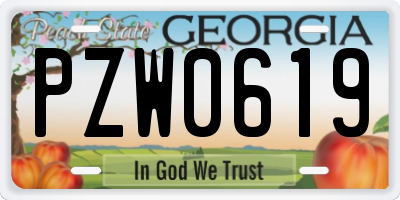 GA license plate PZW0619
