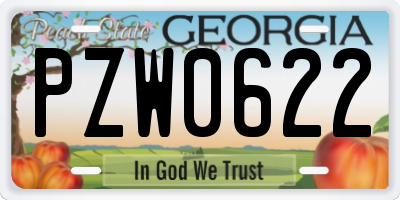 GA license plate PZW0622