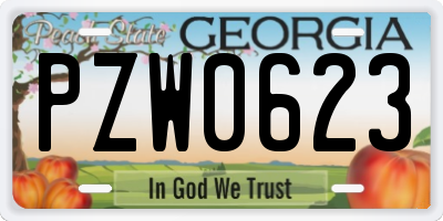 GA license plate PZW0623