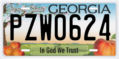GA license plate PZW0624