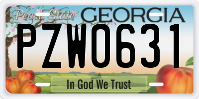 GA license plate PZW0631