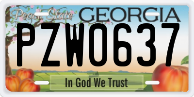 GA license plate PZW0637
