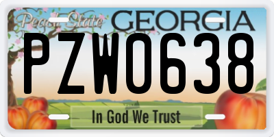 GA license plate PZW0638