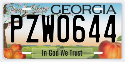GA license plate PZW0644