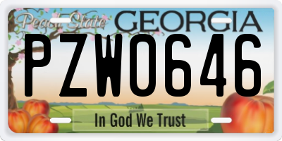 GA license plate PZW0646