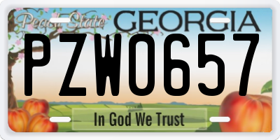 GA license plate PZW0657