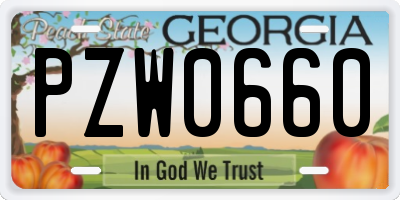 GA license plate PZW0660