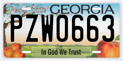 GA license plate PZW0663