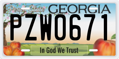 GA license plate PZW0671