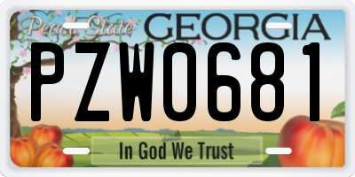 GA license plate PZW0681
