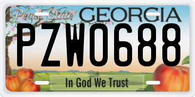 GA license plate PZW0688