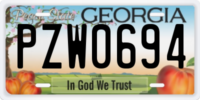 GA license plate PZW0694