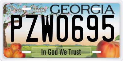 GA license plate PZW0695