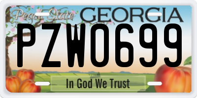 GA license plate PZW0699