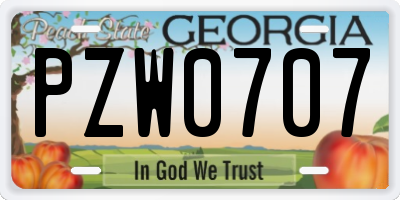 GA license plate PZW0707