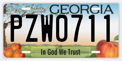 GA license plate PZW0711