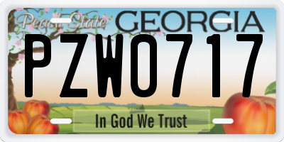 GA license plate PZW0717