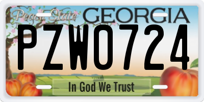 GA license plate PZW0724