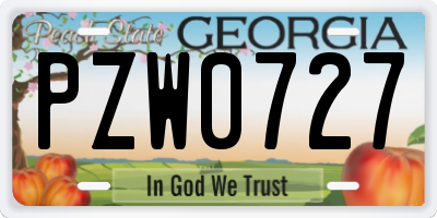 GA license plate PZW0727