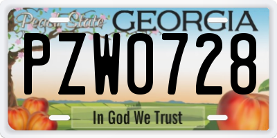 GA license plate PZW0728