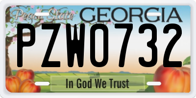 GA license plate PZW0732