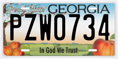 GA license plate PZW0734