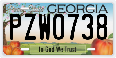 GA license plate PZW0738