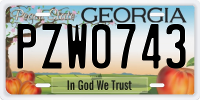 GA license plate PZW0743