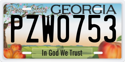 GA license plate PZW0753