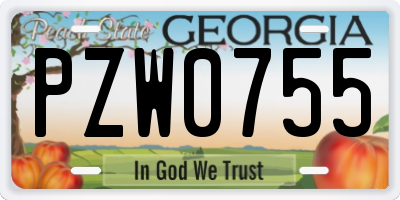 GA license plate PZW0755