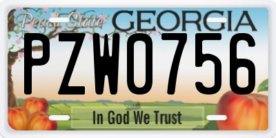 GA license plate PZW0756