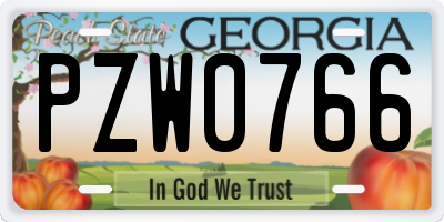 GA license plate PZW0766