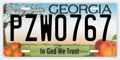 GA license plate PZW0767