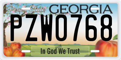 GA license plate PZW0768