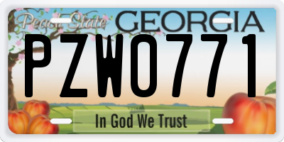GA license plate PZW0771