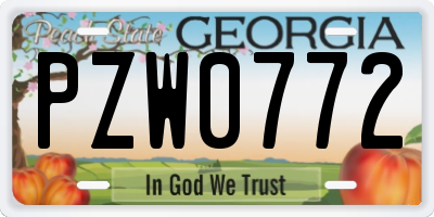GA license plate PZW0772