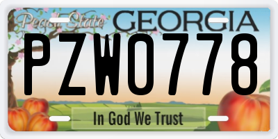 GA license plate PZW0778
