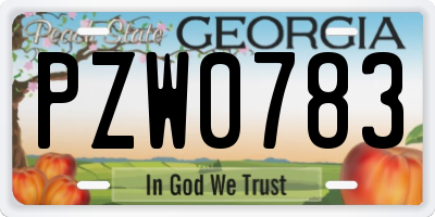 GA license plate PZW0783