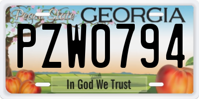 GA license plate PZW0794