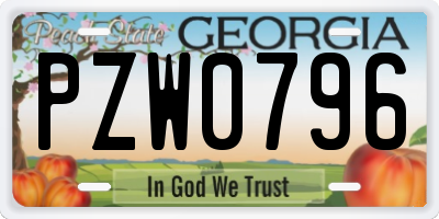 GA license plate PZW0796